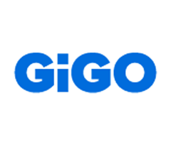 GIGO image